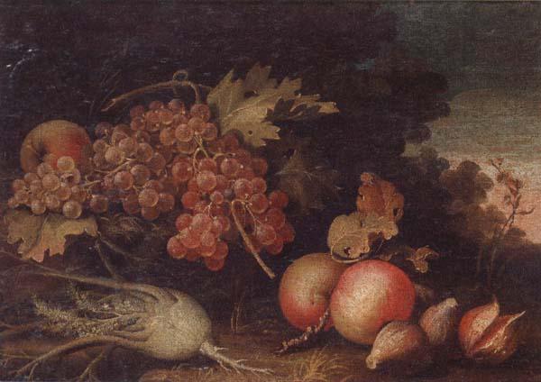unknow artist Still lifes of Grapes,figs,apples,pears,pomegranates,black currants and fennel,within a landscape setting oil painting image